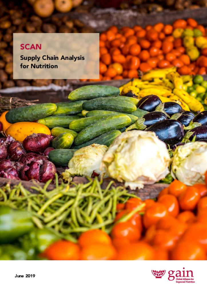 Supply Chain Analysis for Nutrition (SCAN) guiding manual 