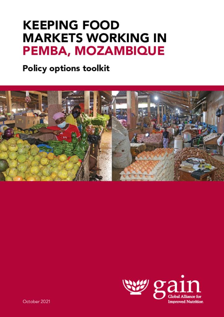 Policy Options Toolkit - Pemba, Mozambique