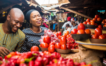 Achieving the SDGs through Food Systems Transformation - On the Road to the Food Systems Summit in 2021