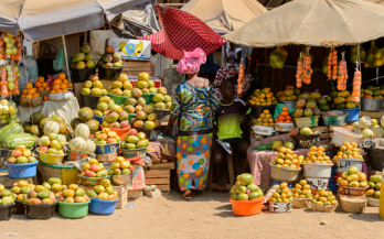 Zero Hunger: Africa's Private Sector Driving Innovation and Growth