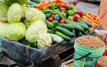 State Launch of EatSafe in Birnin-Kebbi, Nigeria