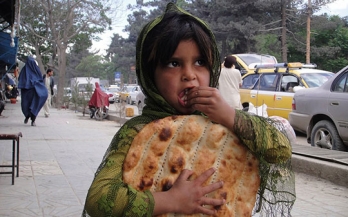 Report on analysis of economic losses due to iron and folic acid deficiencies in Afghanistan