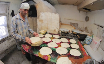 Report on assessment of food laboratories in Tajikistan