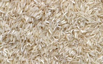 To overcome Zinc deficiency we must leverage biofortified rice in Bangladesh