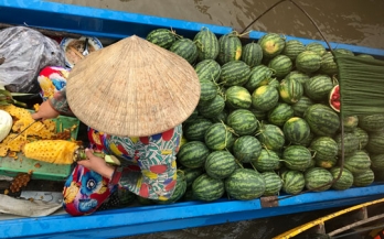 Using formative research to increase purchase intention of fortified foods to prevent micronutrient deficiencies in Vietnam