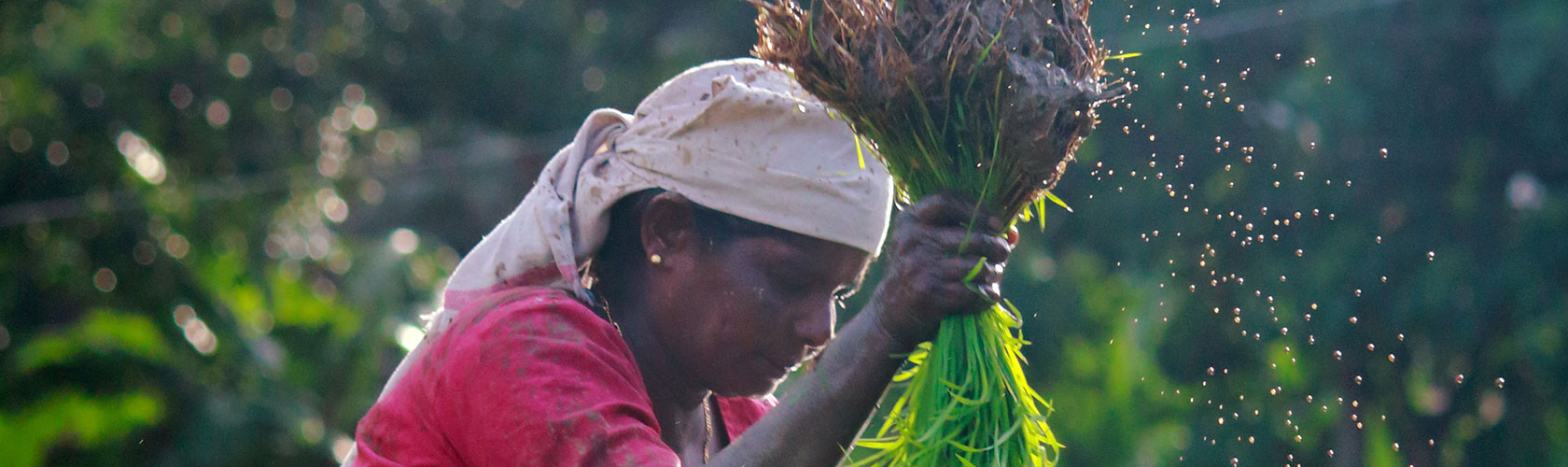 The need for transformational dietary shifts – Davos side event