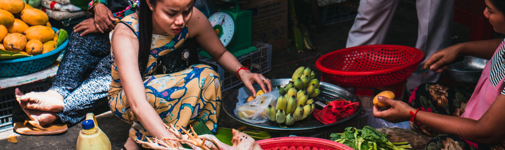 European Commission Conference – Food Systems for Improved Nutrition: Why and How