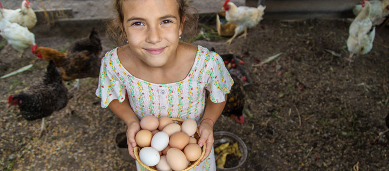 Little girl holding a basket of eggs and smiling with chickens in the back