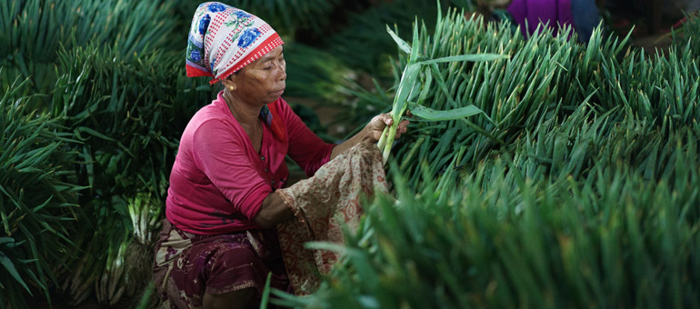 Woman cleaning veggies Indonesia