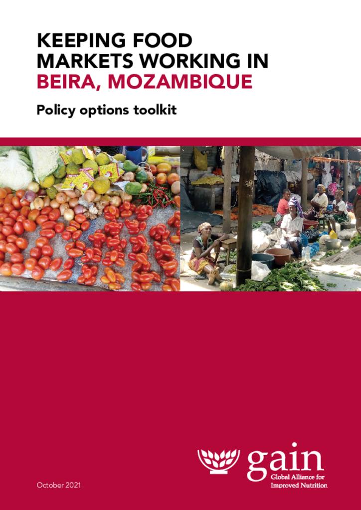 Policy Options Toolkit - Beira, Mozambique