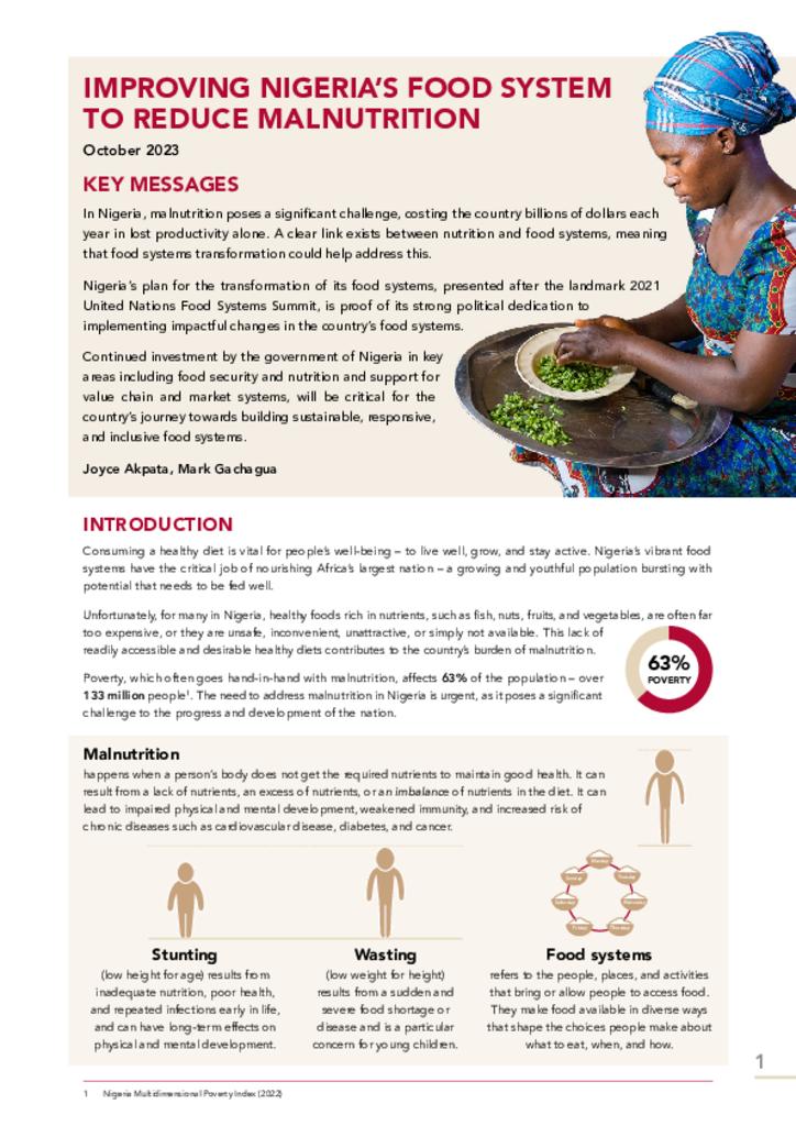 Improving Nigeria food system to reduce malnutrition