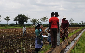 Assessing one of the Marketplace projects in Africa