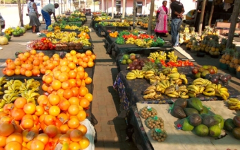 Market in Africa with oranges, bananas and other fruits