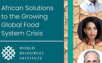 Podcast on African solutions Podcast on African solutions