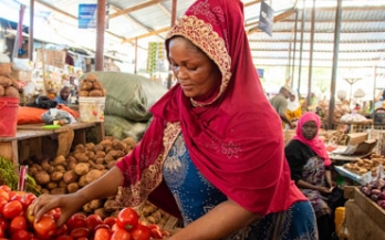Woman picking tomatoes in Tanzania market