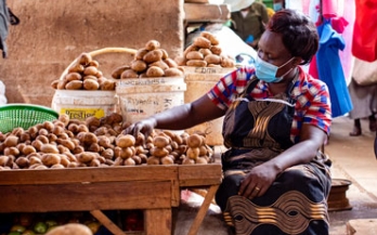 Woman selling potatoes in a market