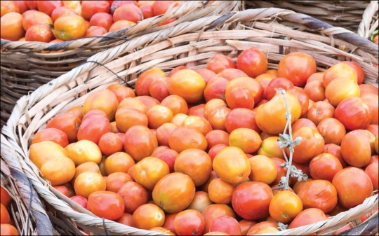 Baskets of Tomatoes from a market