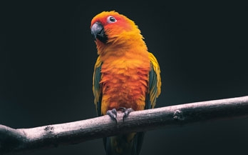 UNFSS Stocktaking Series - Wrap Up