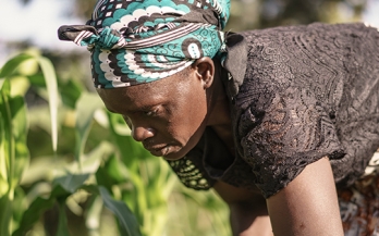 Story 2: Strengthening Nutrition Resilience and Food Security on the African Continent