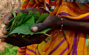 Report urges new partnership to achieve global nutrition goals