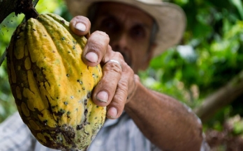 Nutritional status among cocoa farming families and underlying causes in Côte d'Ivoire