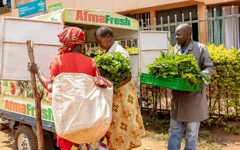 Innovative business models for proximate processing of fresh fruits and vegetables
