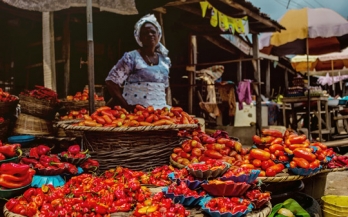 Strengthening the business links in Nigeria’s cold chain