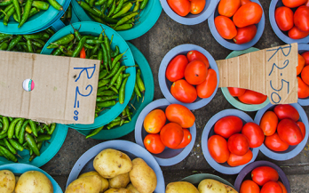 Tomatoes - the world's most popular vegetable