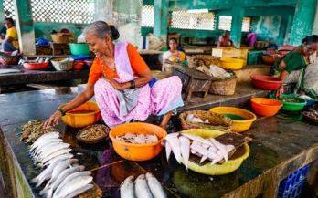 Case study: empowering women entrepreneurs to produce fortified food for mothers and children in Rajasthan