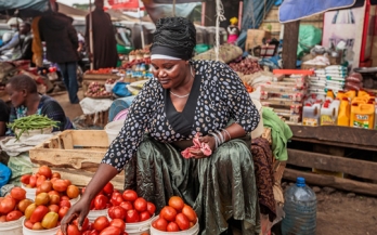 GAIN Working Paper Series 2 - The role of small and medium-sized enterprises in nutritious food supply chains in Africa